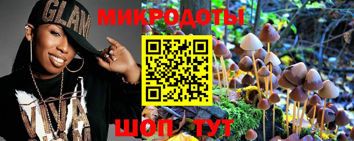 Псилоцибиновые грибы Psilocybe Лиски